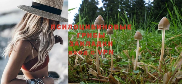 синтетический гашиш Михайловка