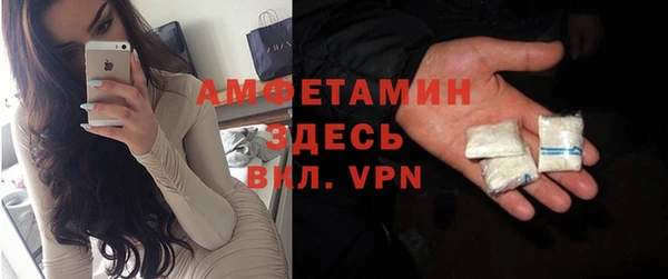 гашик Алексеевка
