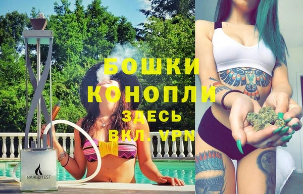 spice Алексин