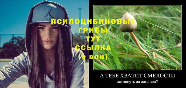 spice Алексин