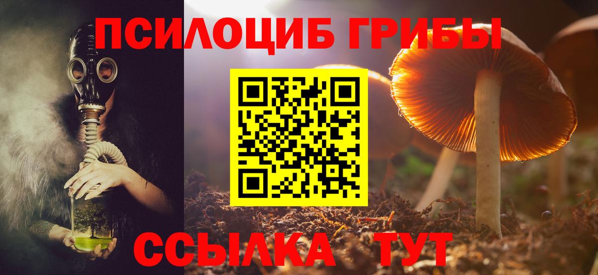 Псилоцибиновые грибы ЛСД  Вход с VPN  Уссурийск 